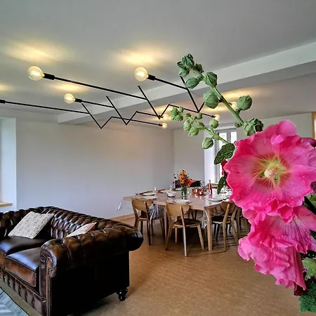 펜션 De Charme En Foret: Nature, Confort, Et Intimite Proche De Lyon Et Clermont-ferrand - Fr-1-582-356 *