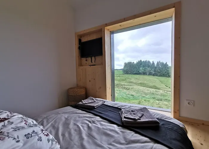 Holiday home De Charme En Foret: Nature, Confort, Et Intimite Proche De Lyon Et Clermont-ferrand - Fr-1-582-356